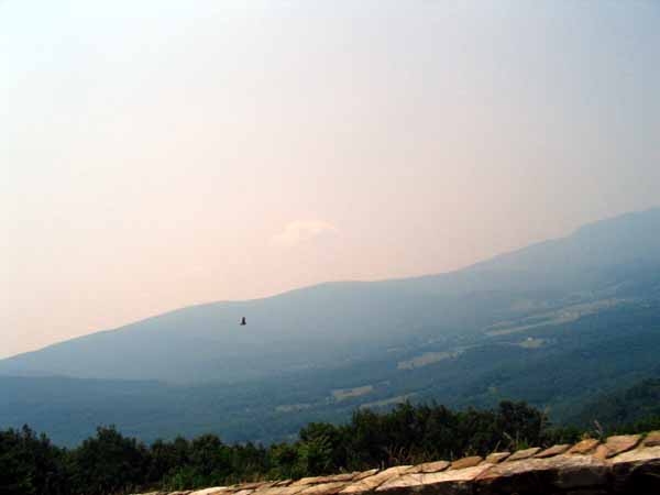 Slideshow